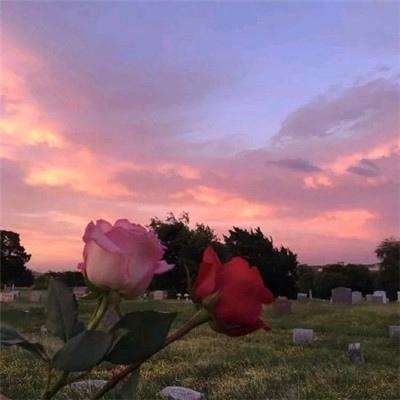 196体育(官方)APP下载安装app下载