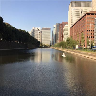 2023澳门管家婆资料正版大全