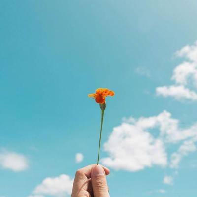 棋牌娱乐www官方网址入口最新版本