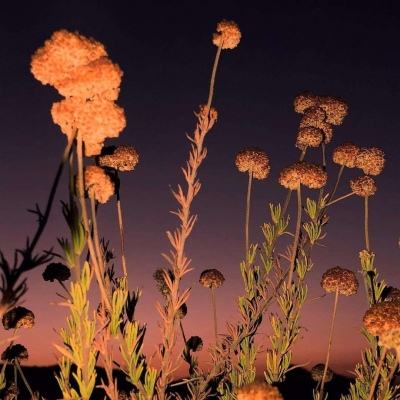 江南娱乐体育官网入口