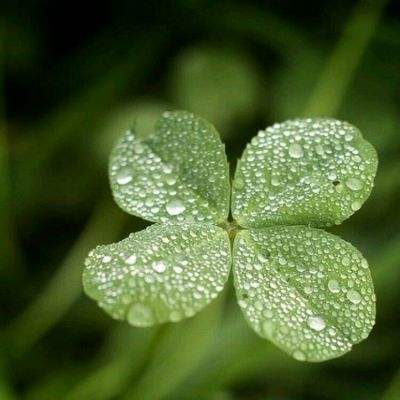 2023澳门管家婆资料正版大全