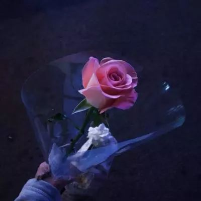 半岛棋牌游戏下载手机版